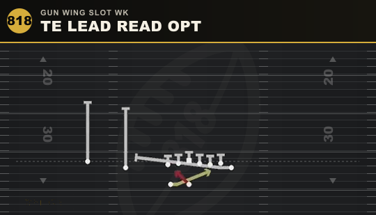 TE LEAD READ OPT from Gun Wing Slot Wk