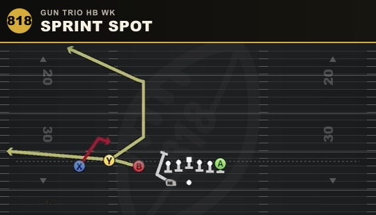 SPRINT SPOT from Gun Trio HB Wk