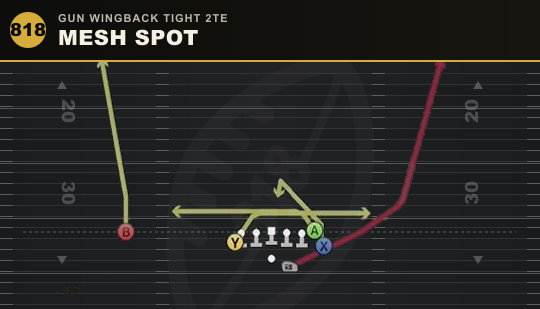 MESH SPOT from Gun Wingback Tight 2TE