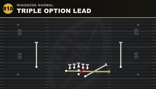 TRIPLE OPTION LEAD from Wingbone Normal