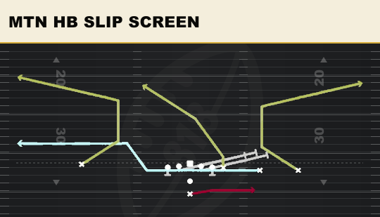 MTN HB SLIP SCREEN from Y Trips