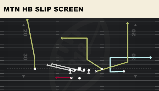 MTN HB SLIP SCREEN from Box