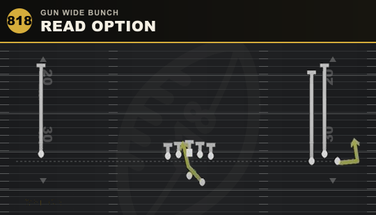 READ OPTION from Gun Wide Bunch