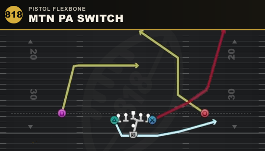 MTN PA SWITCH from Pistol Flexbone