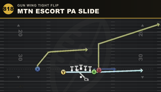 MTN ESCORT PA SLIDE from Gun Wing Tight Flip