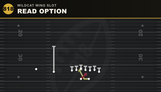 READ OPTION from Wildcat Wing Slot