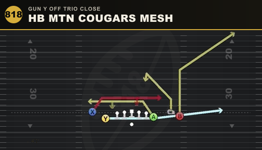 HB MTN COUGARS MESH from Gun Y Off Trio Close