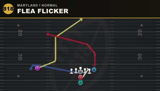 FLEA FLICKER from Maryland I Normal