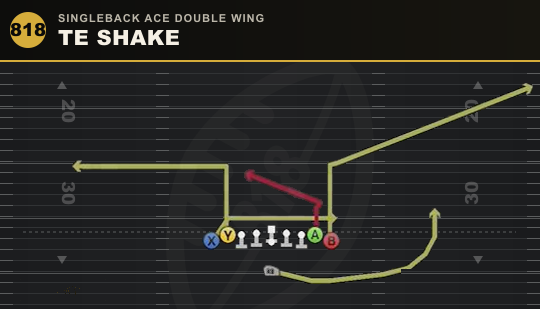 TE SHAKE from Singleback Ace Double Wing