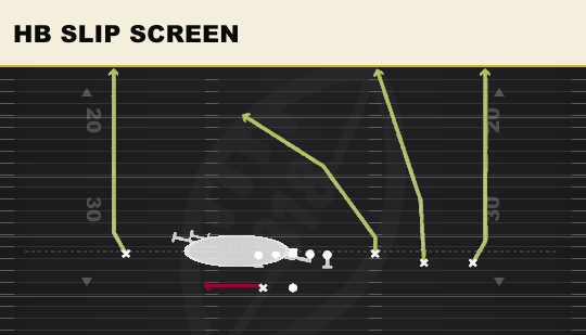HB SLIP SCREEN from Pack Trips