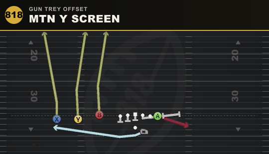 MTN Y SCREEN from Gun Trey Offset