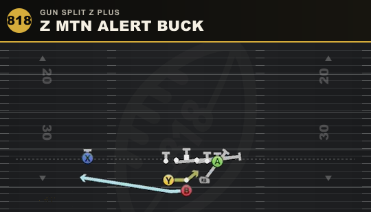 Z MTN ALERT BUCK from Gun Split Z Plus