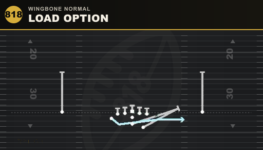 LOAD OPTION from Wingbone Normal
