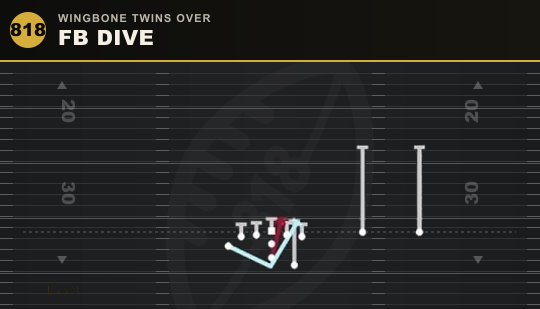 FB DIVE from Wingbone Twins Over