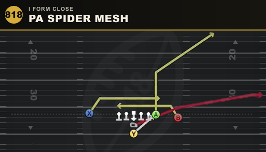PA SPIDER MESH from I Form Close