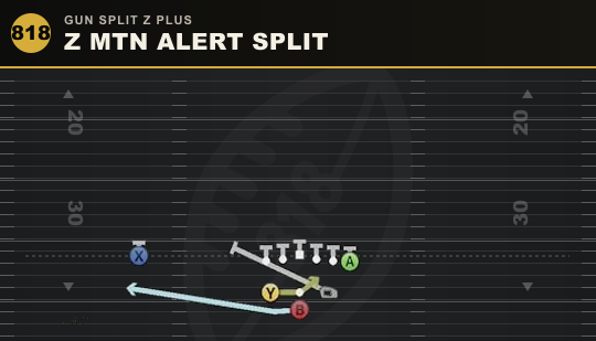 Z MTN ALERT SPLIT from Gun Split Z Plus