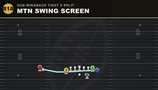 MTN SWING SCREEN from Gun Wingback Tight X Split