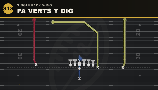 PA VERTS Y DIG from Singleback Wing
