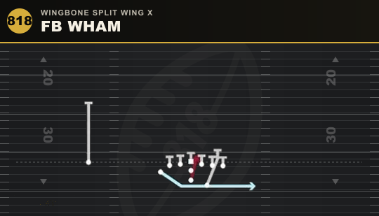 FB WHAM from Wingbone Split Wing X