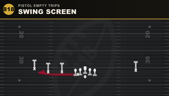 SWING SCREEN from Pistol Empty Trips