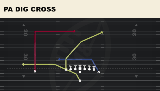 PA DIG CROSS from Wing Tight