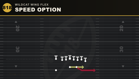 SPEED OPTION from Wildcat Wing Flex