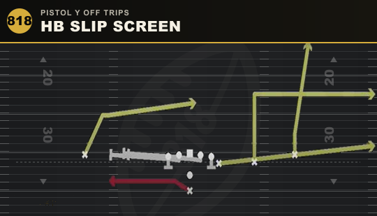HB SLIP SCREEN from Pistol Y Off Trips