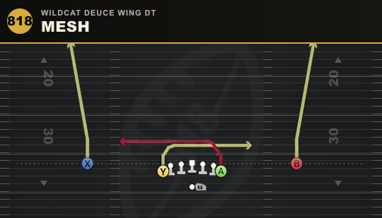 MESH from Wildcat Deuce Wing DT