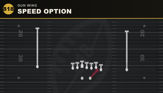 SPEED OPTION from Gun Wing