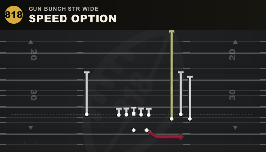 SPEED OPTION from Gun Bunch Str Wide