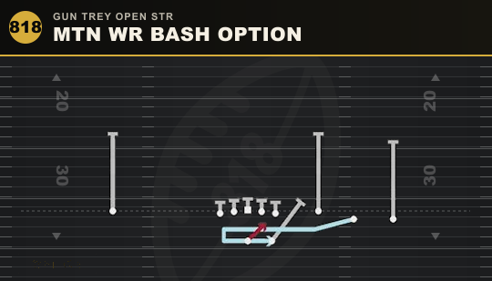 MTN WR BASH OPTION from Gun Trey Open Str