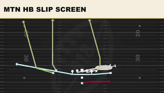 MTN HB SLIP SCREEN from Doubles Hip