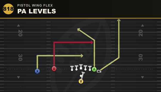 PA LEVELS from Pistol Wing Flex