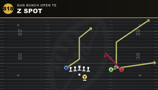 Z SPOT from Gun Bunch Open TE