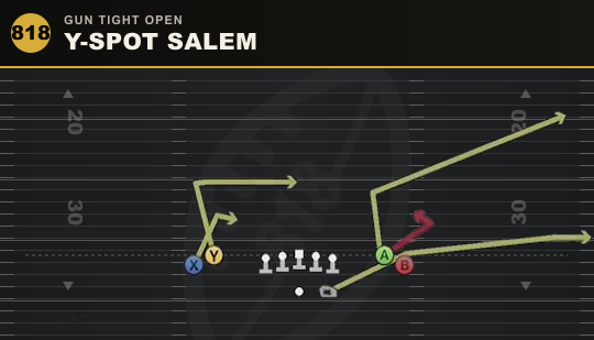 Y-SPOT SALEM from Gun Tight Open