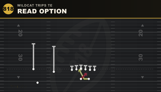 READ OPTION from Wildcat Trips TE