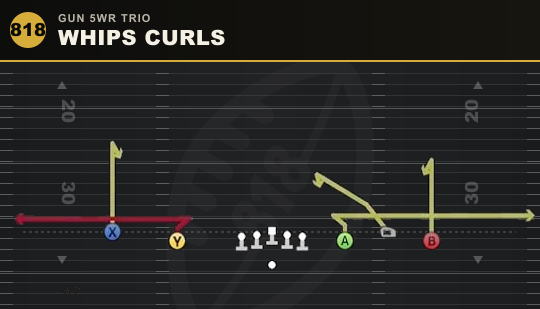 WHIPS CURLS from Gun 5WR Trio