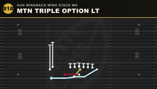 MTN TRIPLE OPTION LT from Gun Wingback Wing Stack Wk