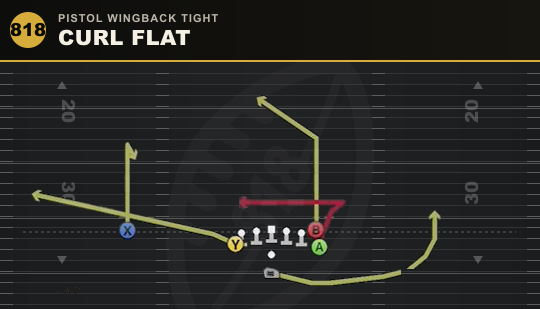 CURL FLAT from Pistol Wingback Tight