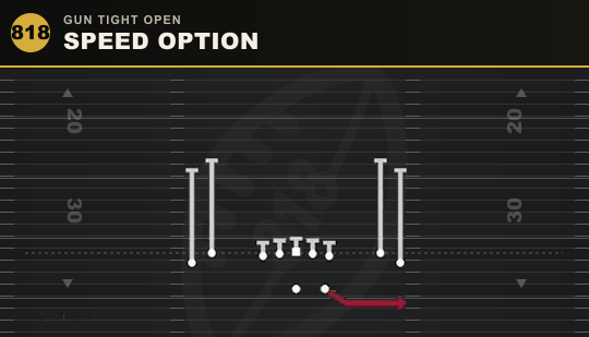 SPEED OPTION from Gun Tight Open