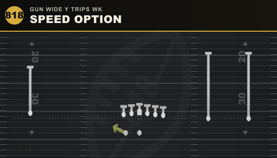SPEED OPTION from Gun Wide Y Trips Wk