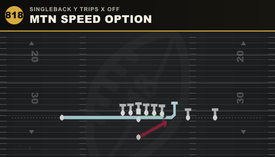 MTN SPEED OPTION from Singleback Y Trips X Off