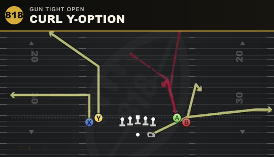 CURL Y-OPTION from Gun Tight Open
