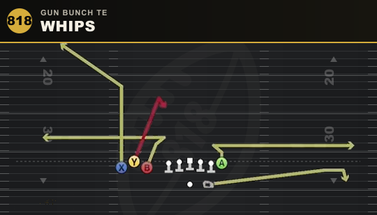WHIPS from Gun Bunch TE