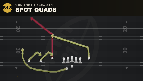 SPOT QUADS from Gun Trey Y-Flex Str