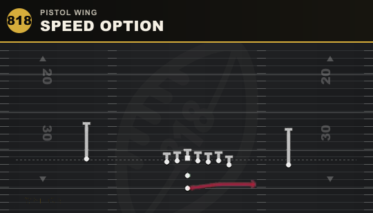 SPEED OPTION from Pistol Wing
