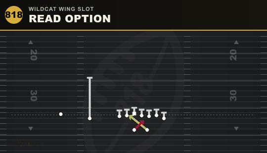READ OPTION from Wildcat Wing Slot