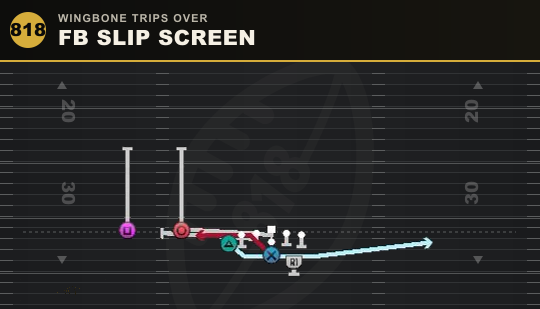 FB SLIP SCREEN from Wingbone Trips Over