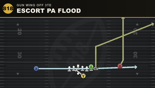 ESCORT PA FLOOD from Gun Wing Off 3TE