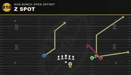 Z SPOT from Gun Bunch Open Offset